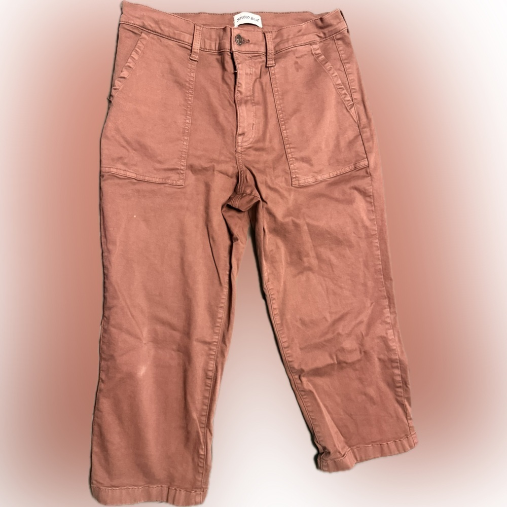 Studio Blue ankle pants